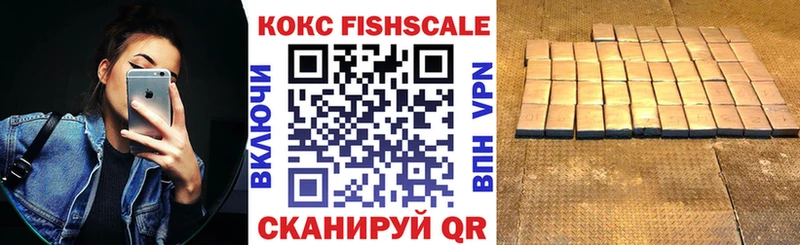 Cocaine FishScale  где можно купить   Карачаевск 