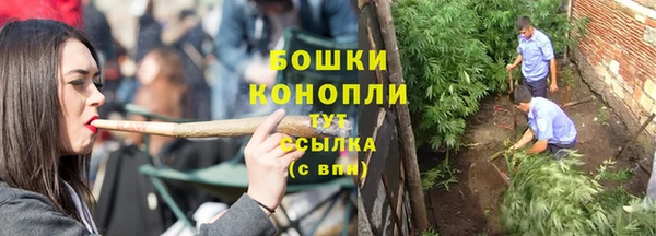 мдпв Навашино