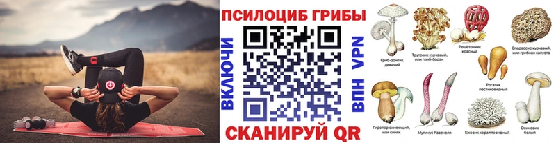 Галлюциногенные грибы Magic Shrooms магазин продажи наркотиков Карачаевск
