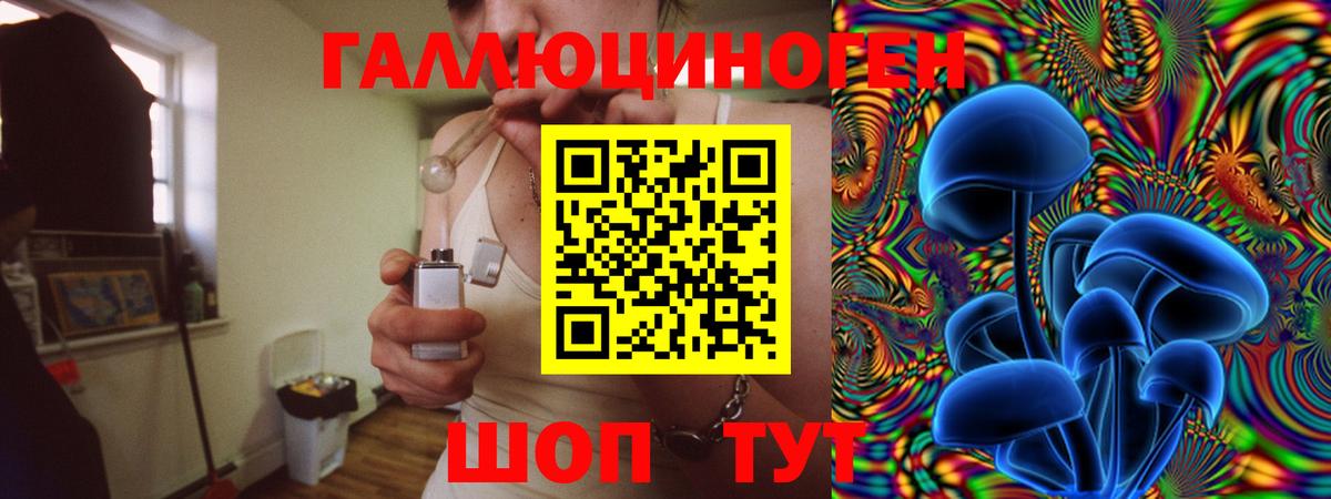 Галлюциногенные грибы GOLDEN TEACHER Карачаевск