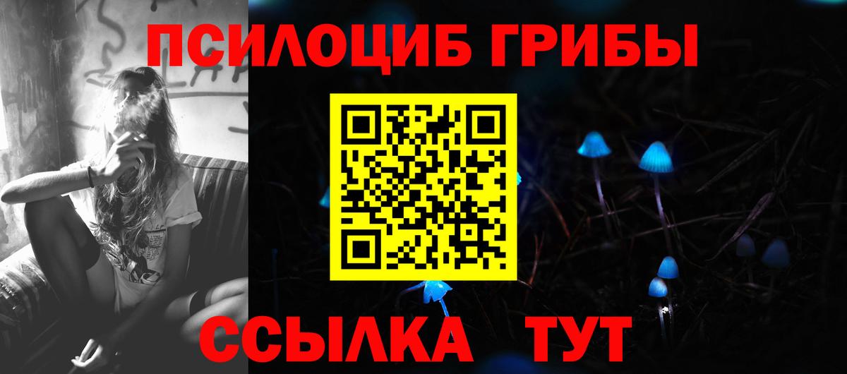 Карачаевск  Галлюциногенные грибы MAGIC MUSHROOMS  Вход с VPN 